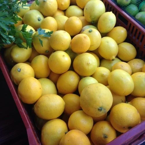 Sweet lemon