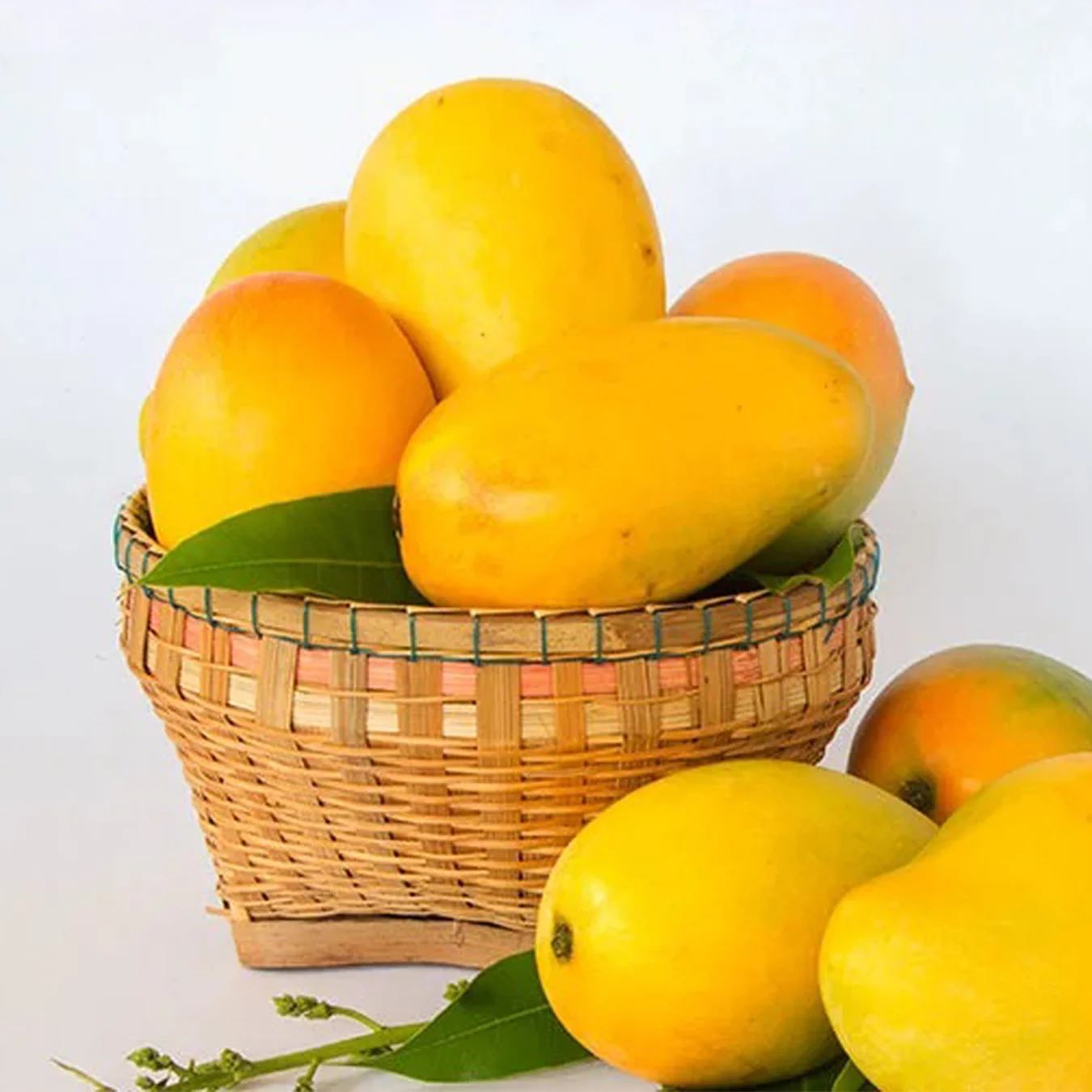 Mango
