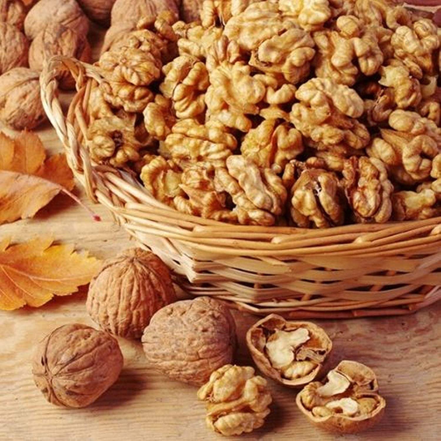 Walnut