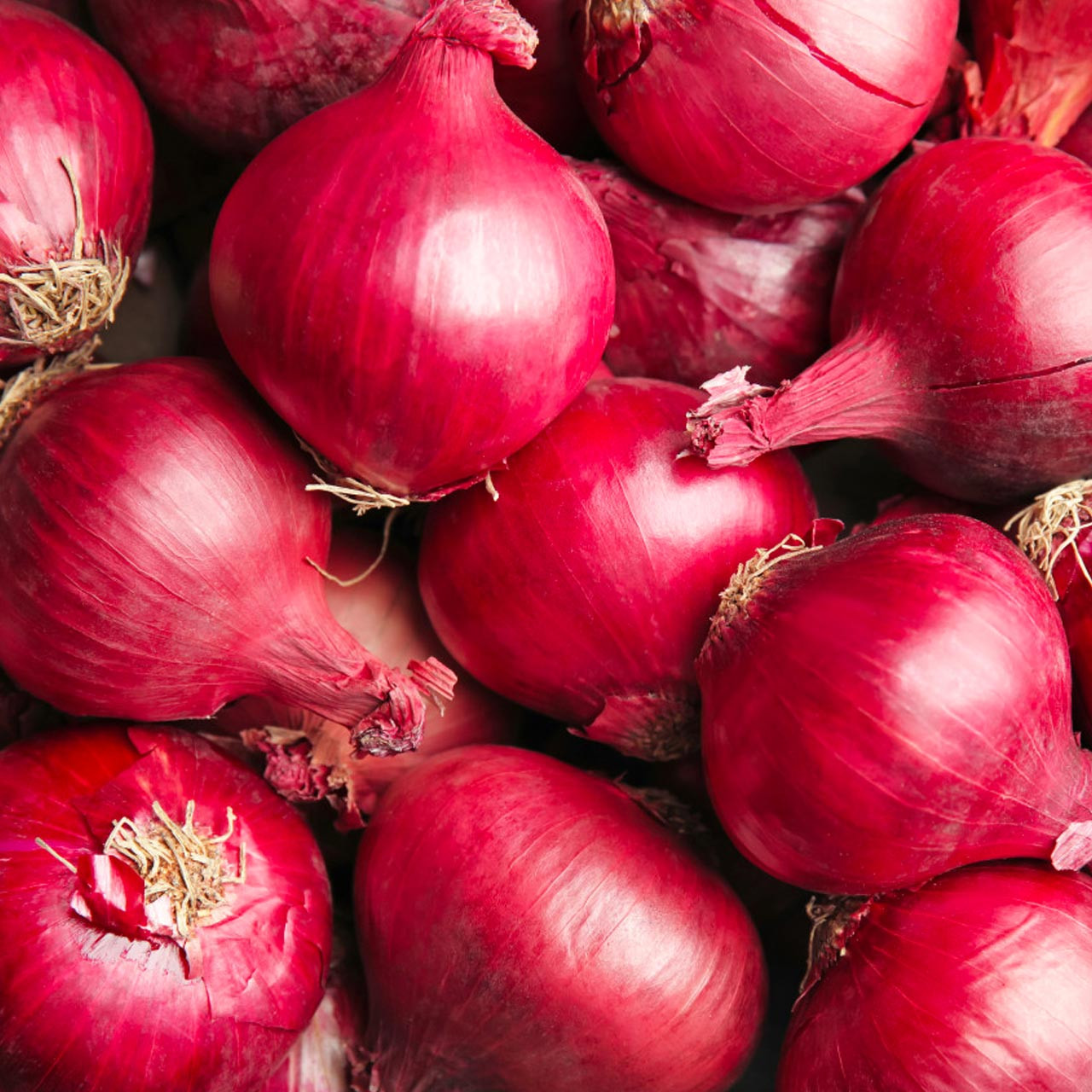 Onion